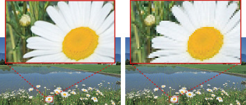 ４Kは花の写真がきれいに見えるが、フルHDではドットがデコボコしている。