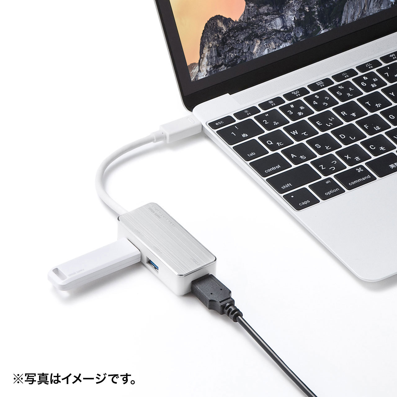 USB Type-C専用 ハブ（USB3.0・3ポート）