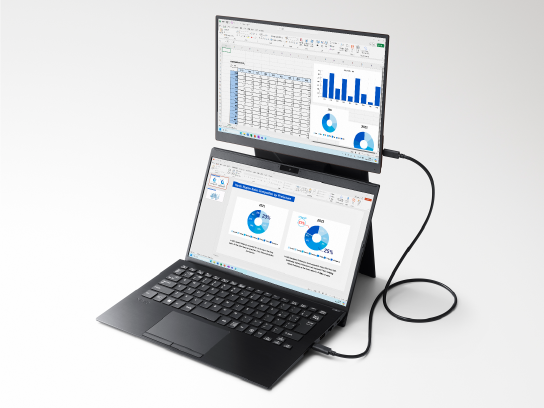 ���o�C���f�B�X�v���C�@VAIO Vision+ 14P�i�^�ԁFVJ5VP141P12�j