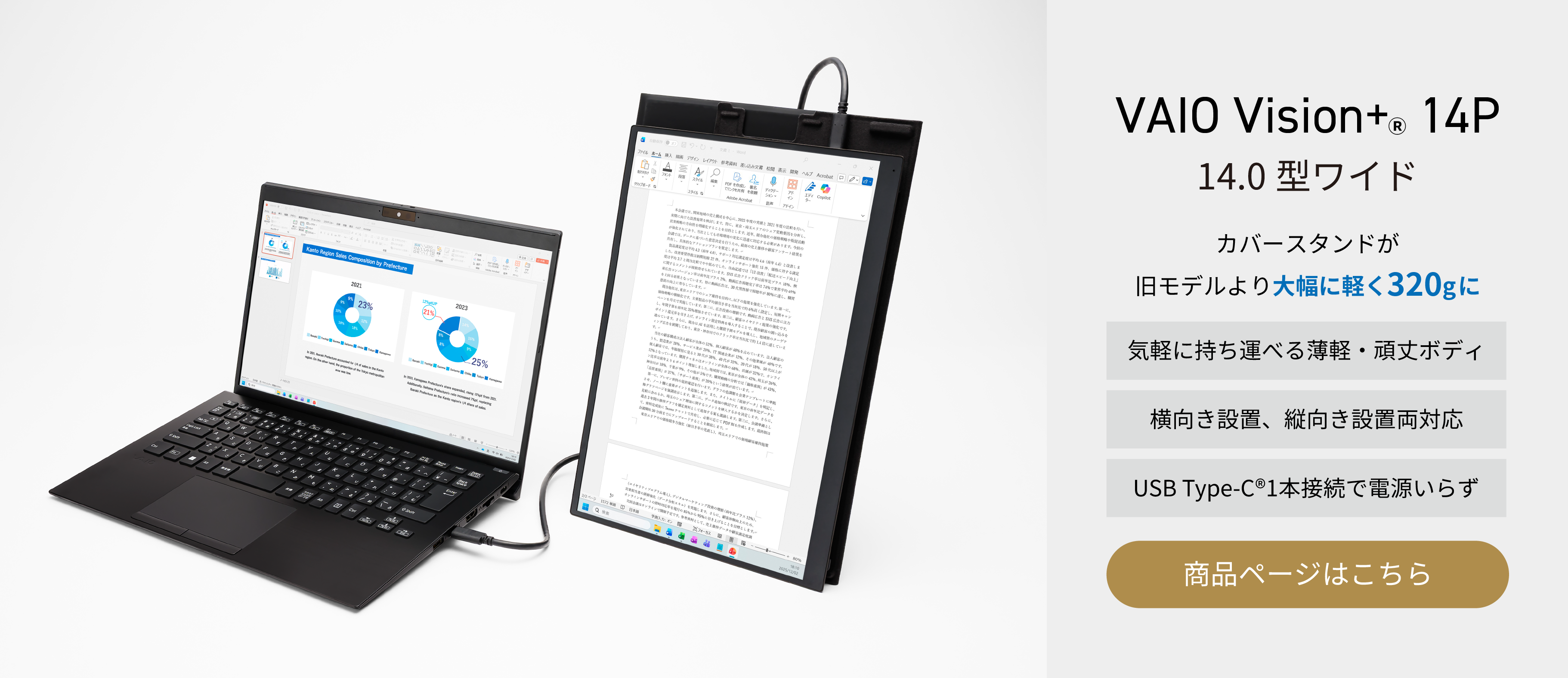 VAIO Vision_VJ5VP141P12